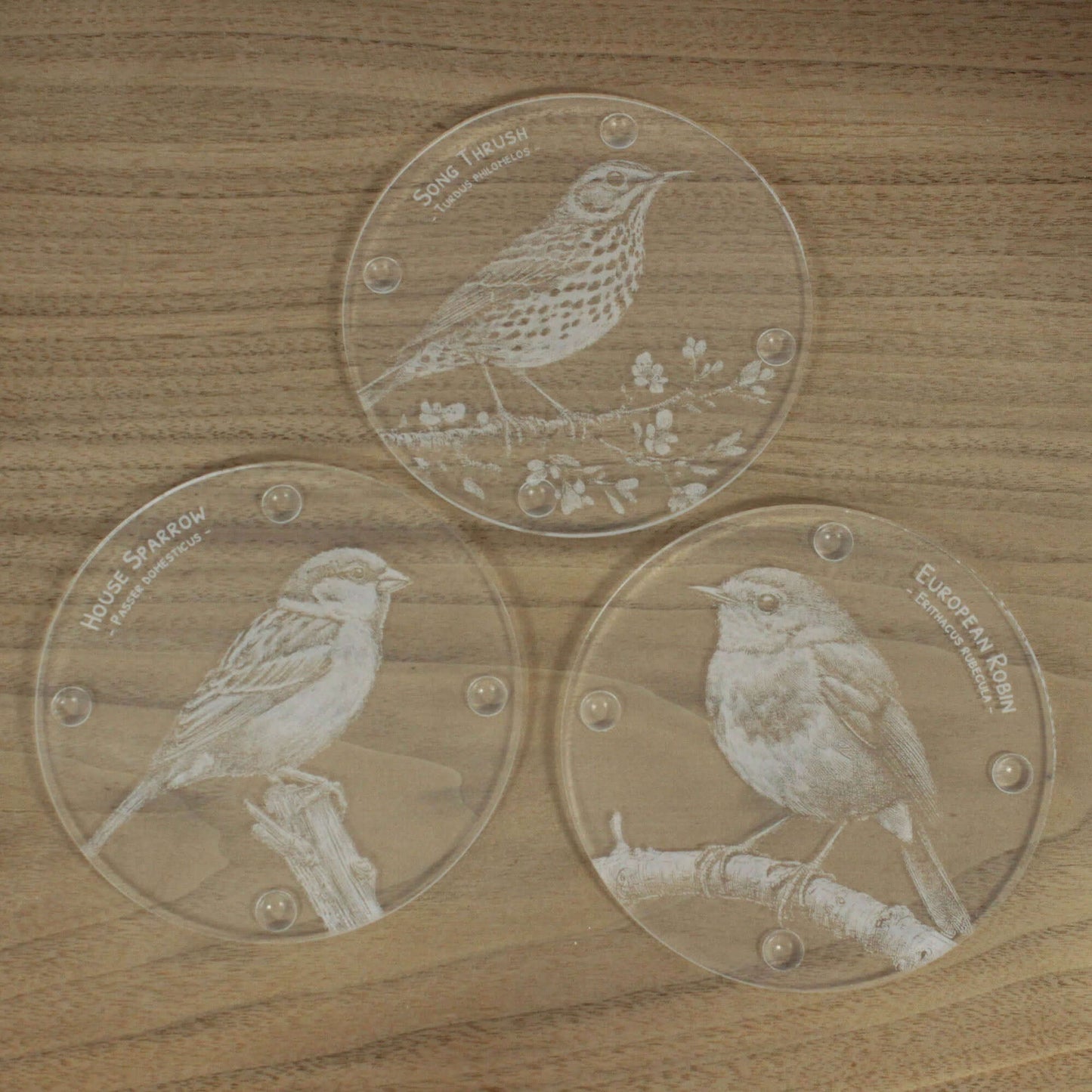 Gift Packed Set of 6 Engraved Acrylic Coasters - British Songbirds