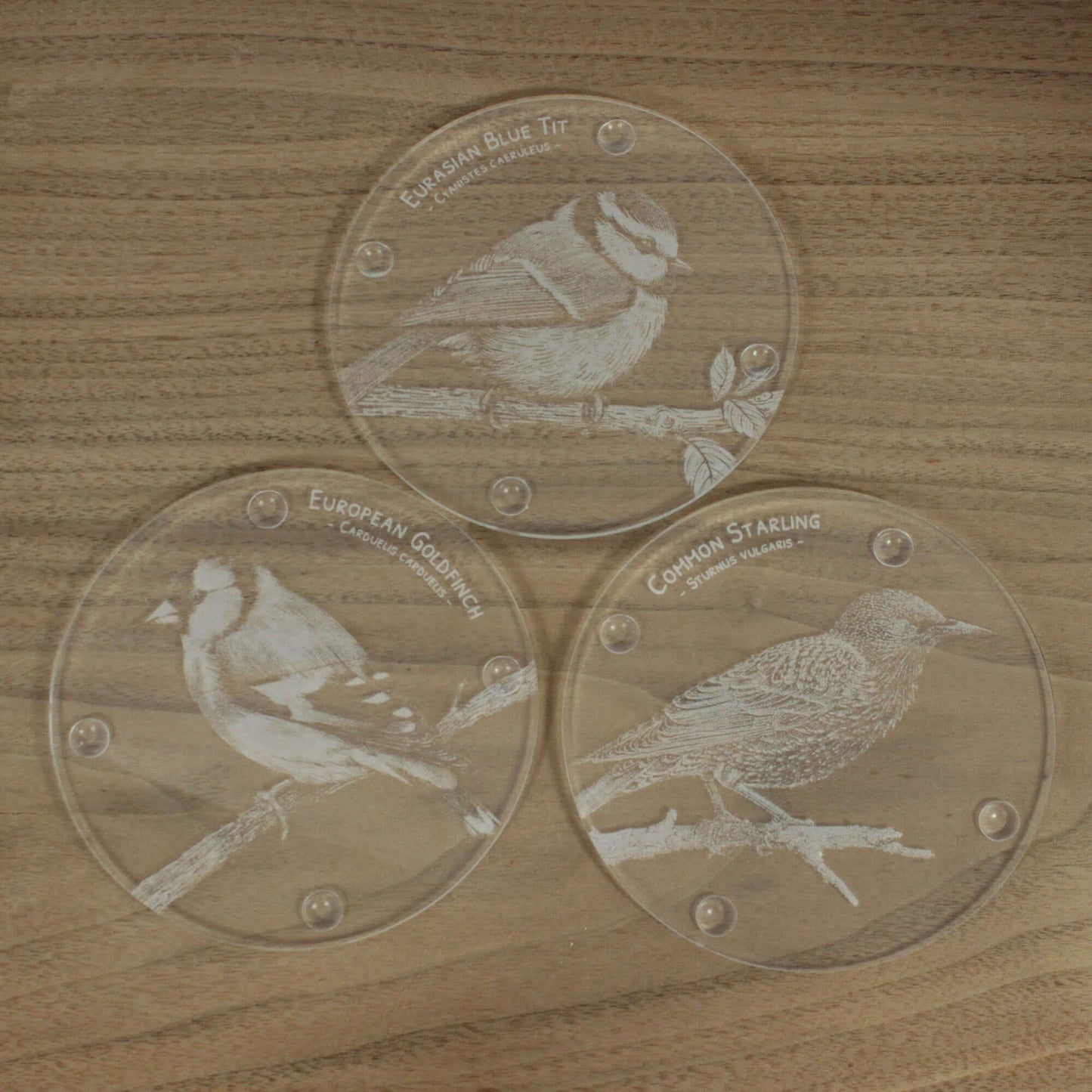 Gift Packed Set of 6 Engraved Acrylic Coasters - British Songbirds
