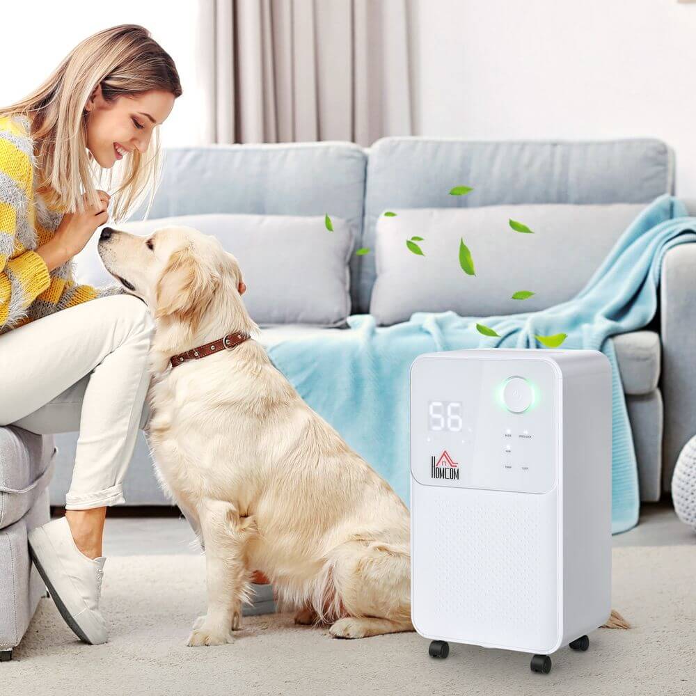 12L/Day Portable Dehumidifier In Use