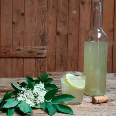 Very Impressive Elderflower Pressé