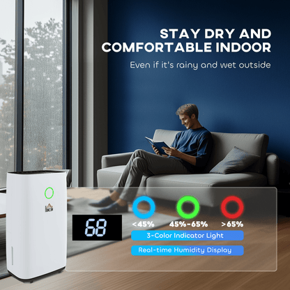 20L/Day 4000ML Portable Quiet Dehumidifier For The Home with auto shut-off feature