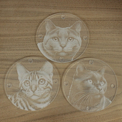 Gift Packed Set of 6 Engraved Acrylic Coasters - Cats