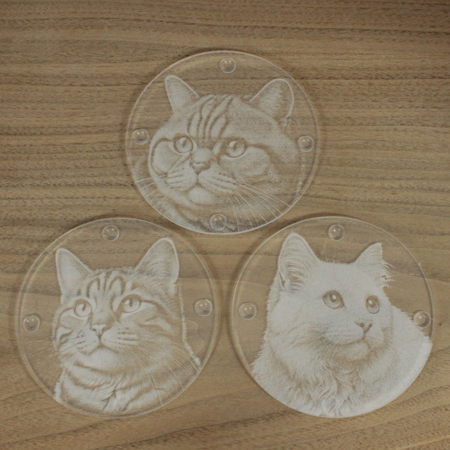 Gift Packed Set of 6 Engraved Acrylic Coasters - Cats